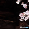 DSCF4851