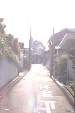 朝の光