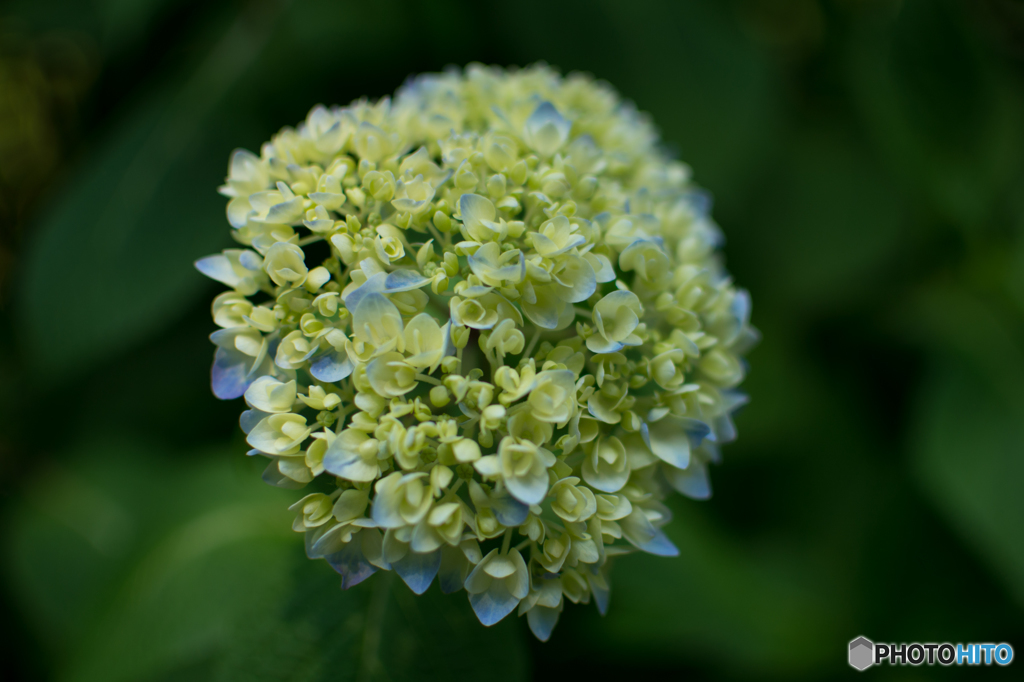 20160521-DSC_7437