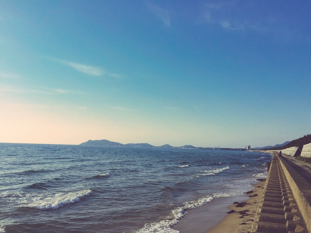 福津方面を望む