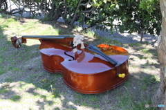 バイオリンのおばけ発見！