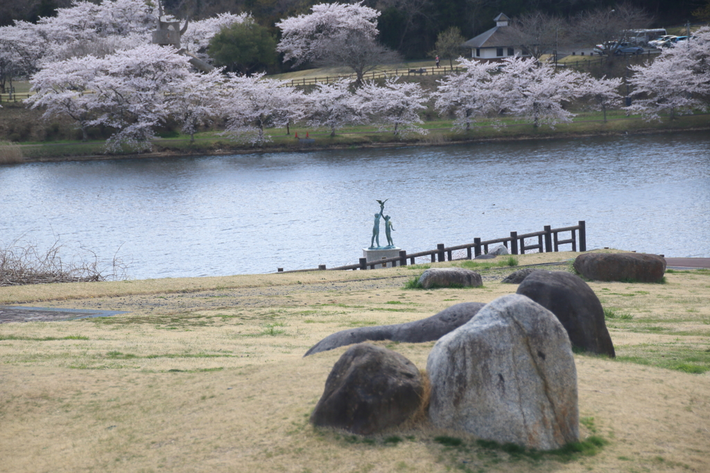平筒沼の桜