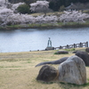 平筒沼の桜