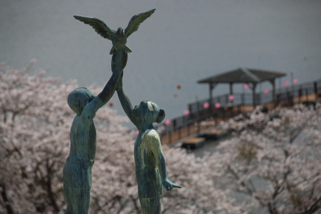 平筒沼の桜