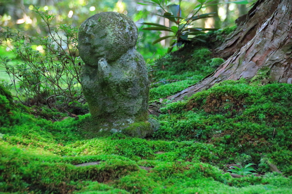 大原三千院　～わらべ地蔵１～