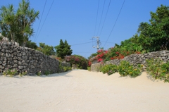 竹富島　サンゴの道