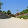 竹富島　サンゴの道