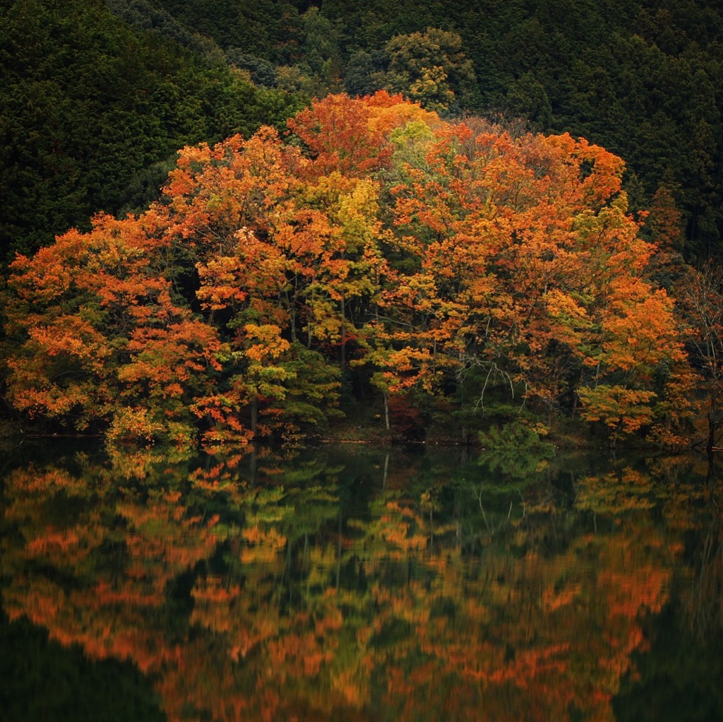 湖面に秋色