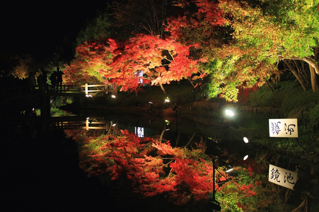 なばなの里　秋の夜の鏡池　