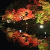 なばなの里　秋の夜の鏡池　