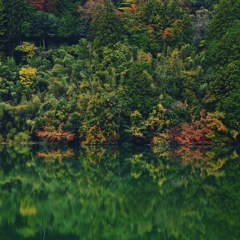 湖面に秋色2