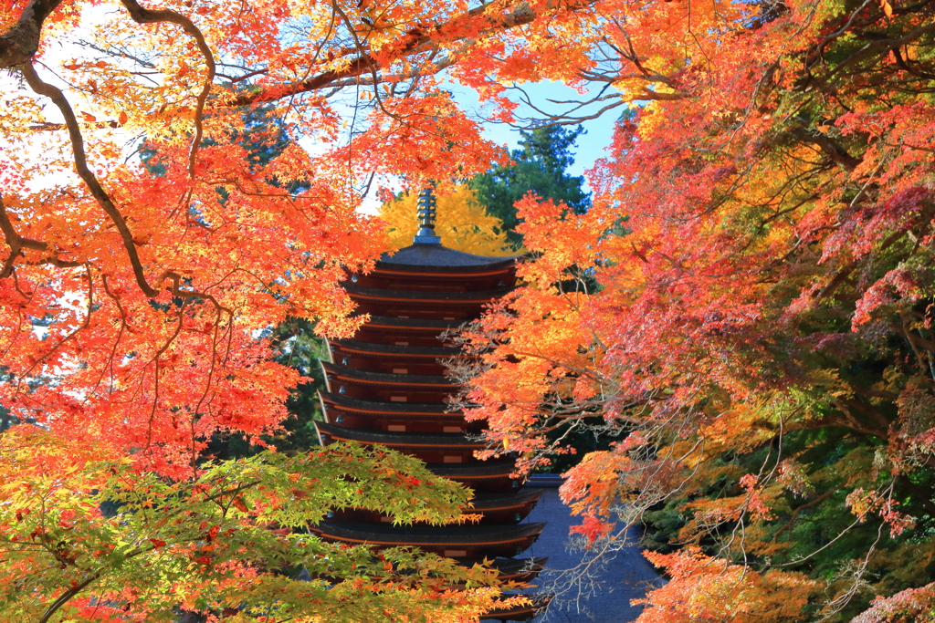 秋盛り～談山神社～