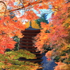 秋盛り～談山神社～