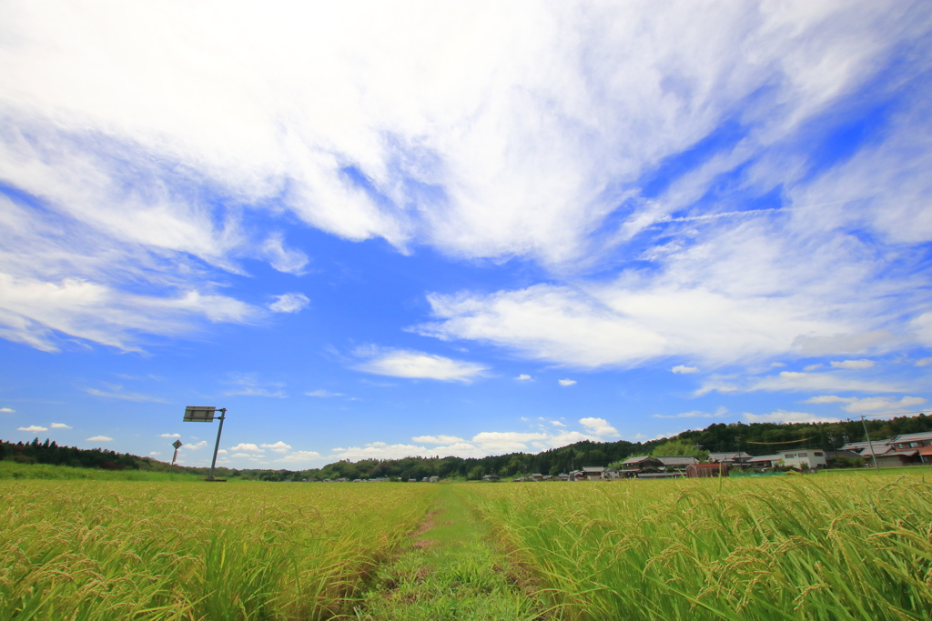 夏休みの空