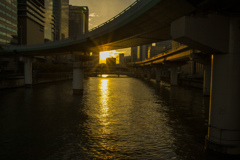 堂島川の夕日