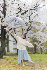 桜✕雨降り