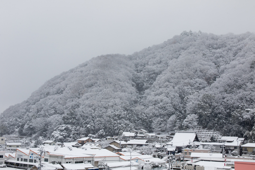 雪化粧