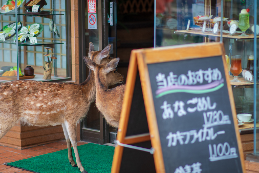 当店のおすすめ