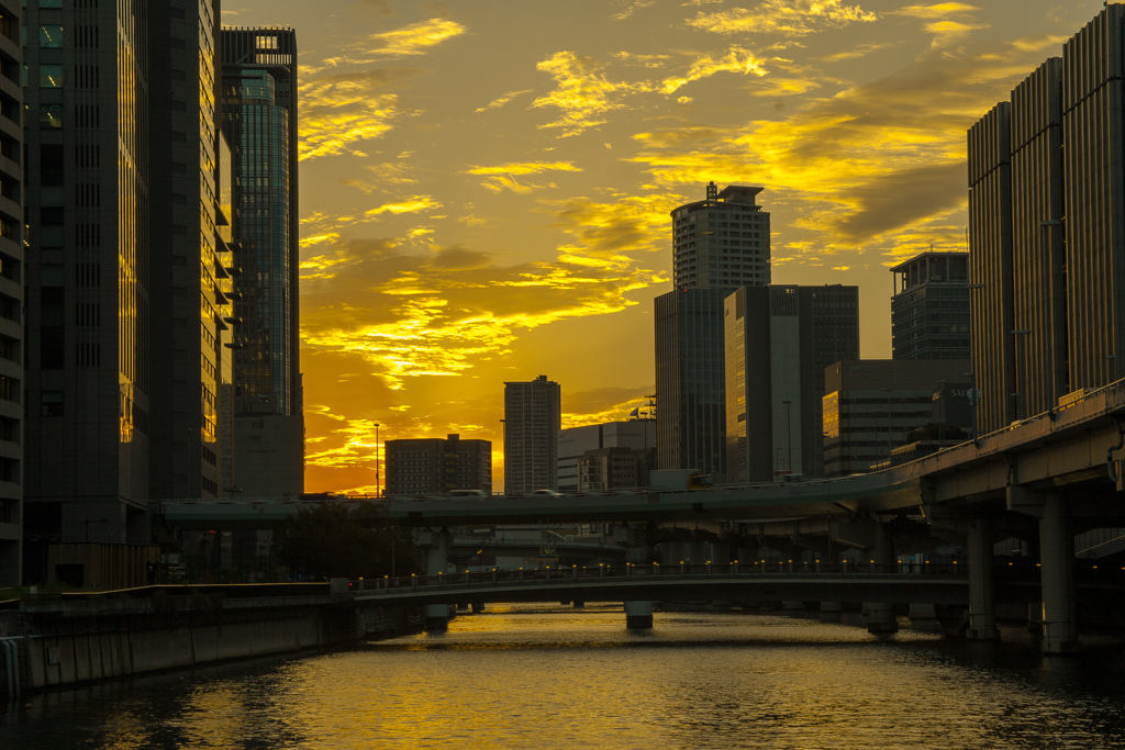堂島川の夕焼け