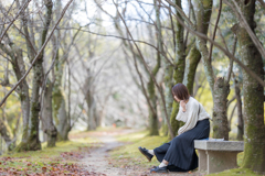 桜の木の下で