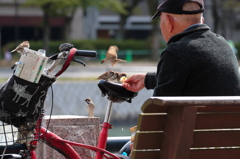 ほのぼの