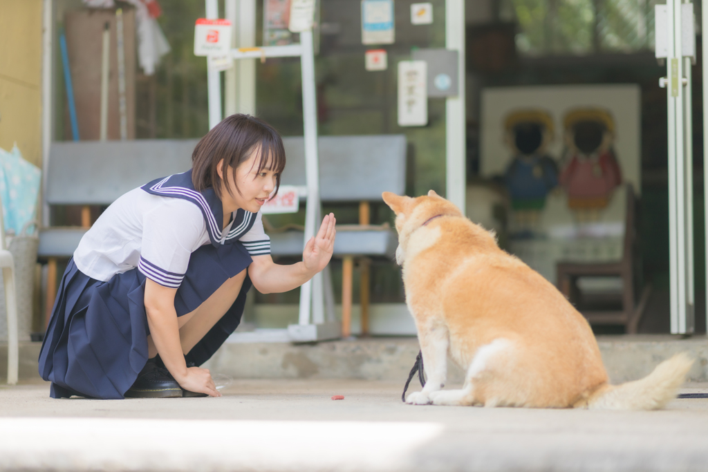 待てだからね～