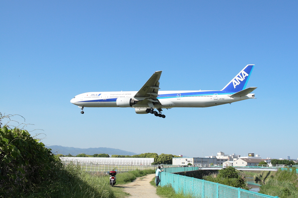 横から長っ！