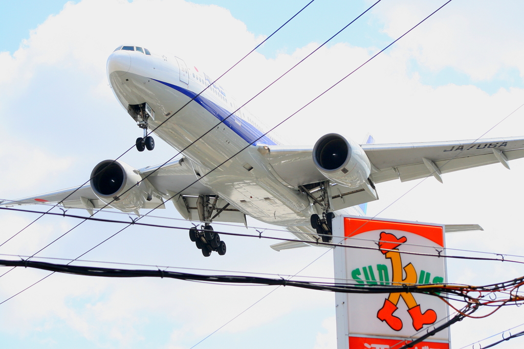 いきなりどーん