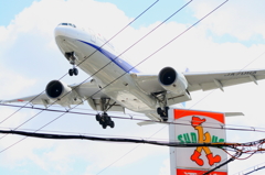 いきなりどーん