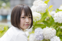 あじさい