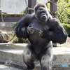 ウホ