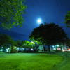 Night of the park