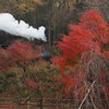 紅葉の景色