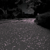 桜散り果てても
