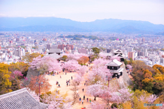 桜色と城下町を見下ろして。