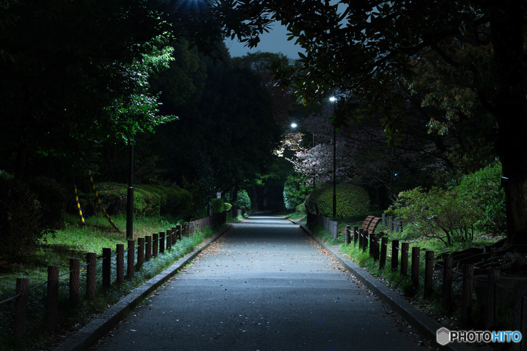夜道