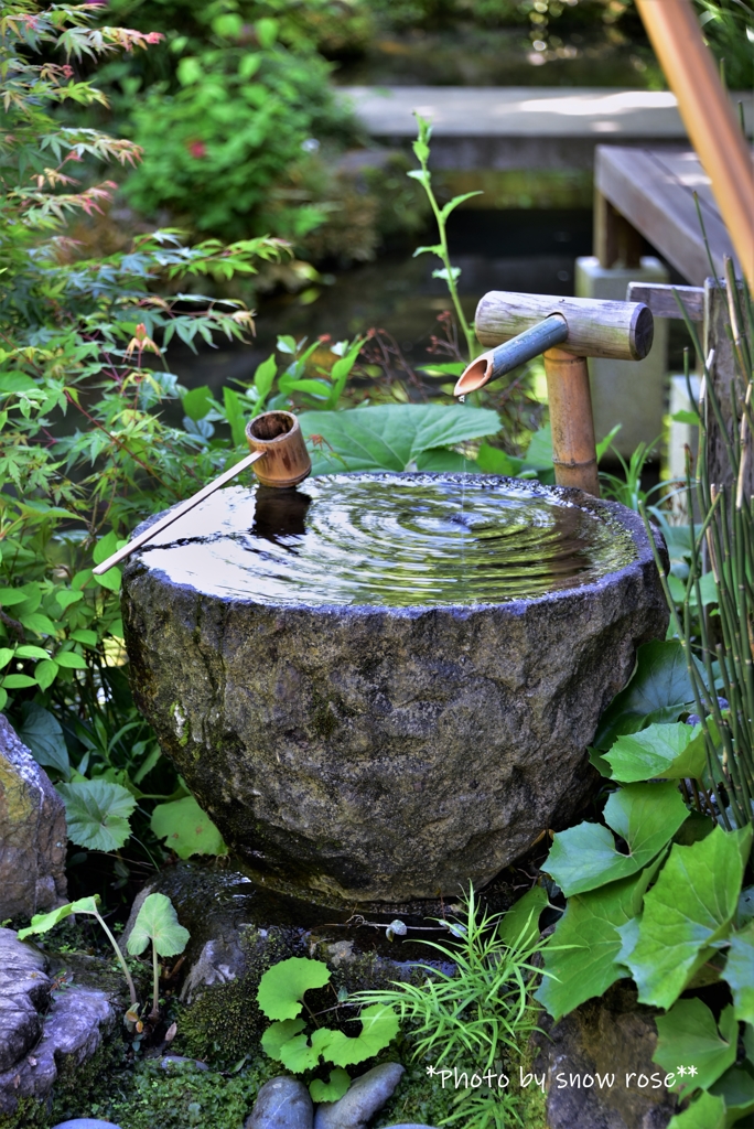 水琴 ピソリーノ みずごと 水琴窟 Pisolino - その他