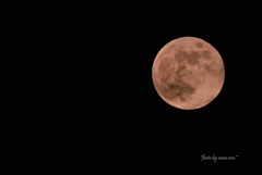 strawberry moon