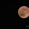 strawberry moon