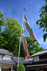 屋根より高かった！