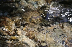 清流