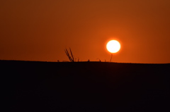 夕日見