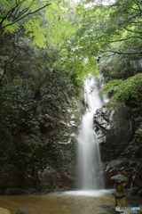 夏秋の滝