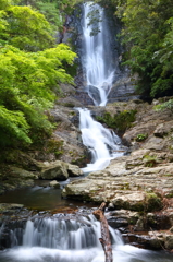 近所の滝