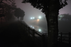 夜霧の川辺
