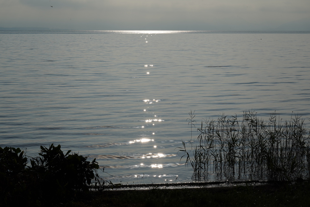 朝の湖畔