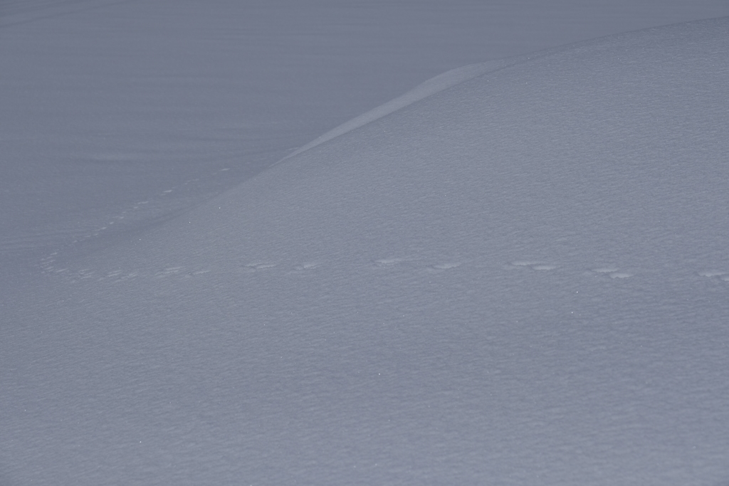 雪面の足跡 その2