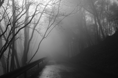 霧の山道　その2