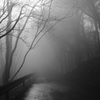 霧の山道　その2