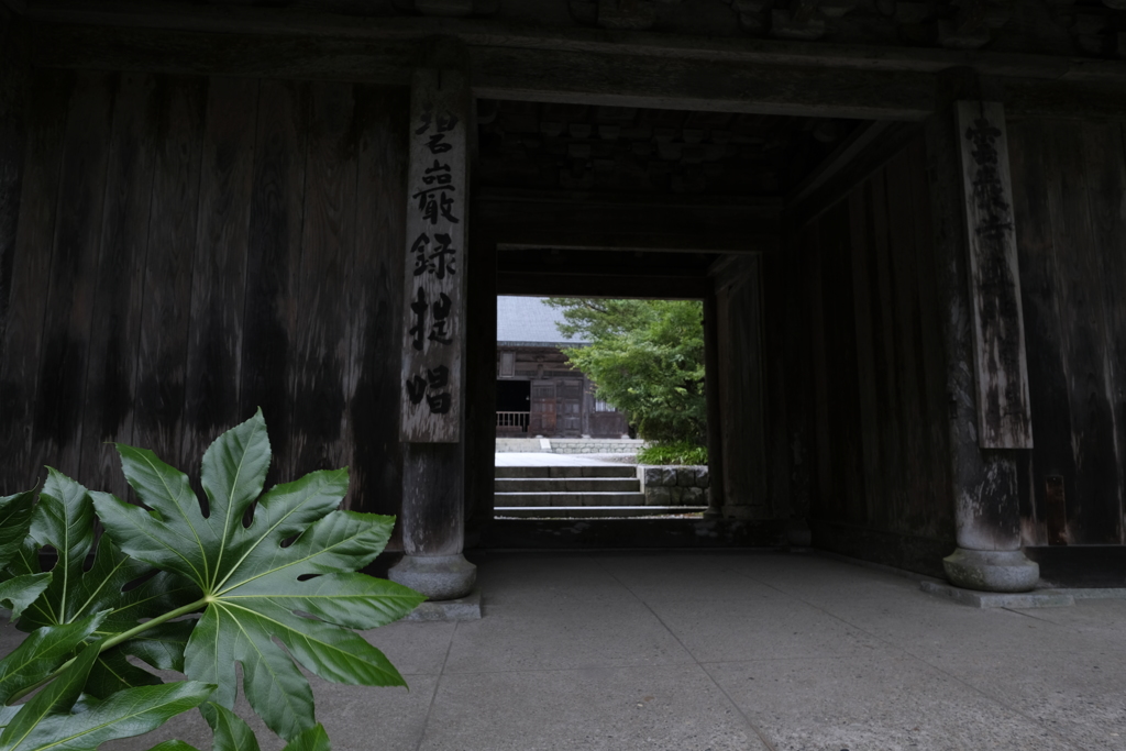 夏の雲巌寺2